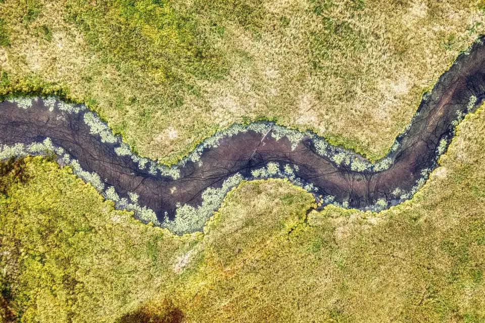 Aerial view of a winding stream crossing a green wetland