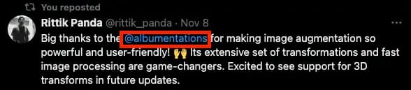 Testimonial from Rittik Panda