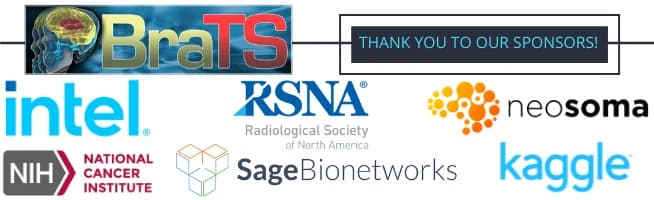 Kaggle competition image for RSNA-MICCAI Brain Tumor Radiogenomic Classification