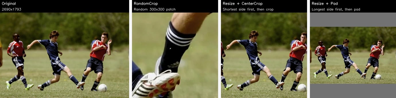 Three size normalization strategies compared