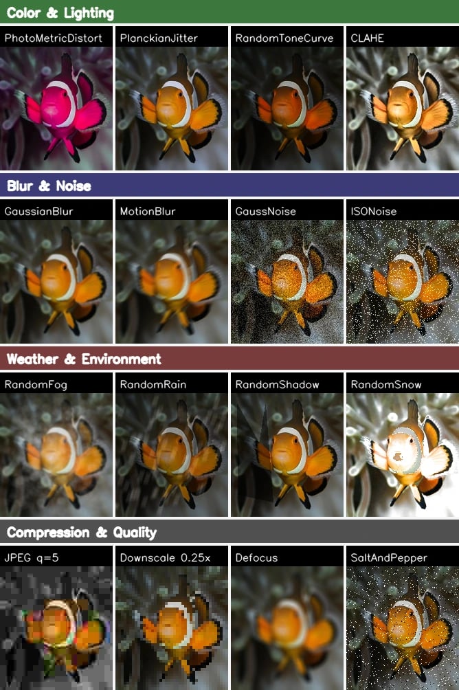 Domain-specific transform sampler