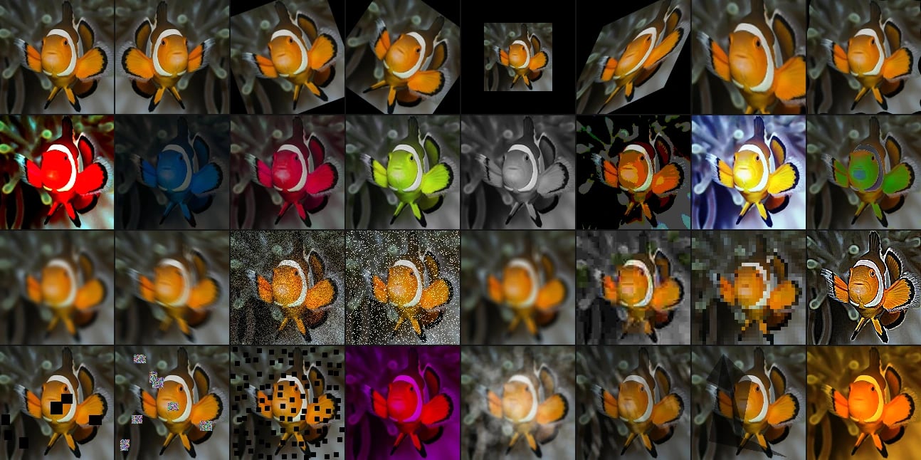 Augmentation transforms applied to the same image
