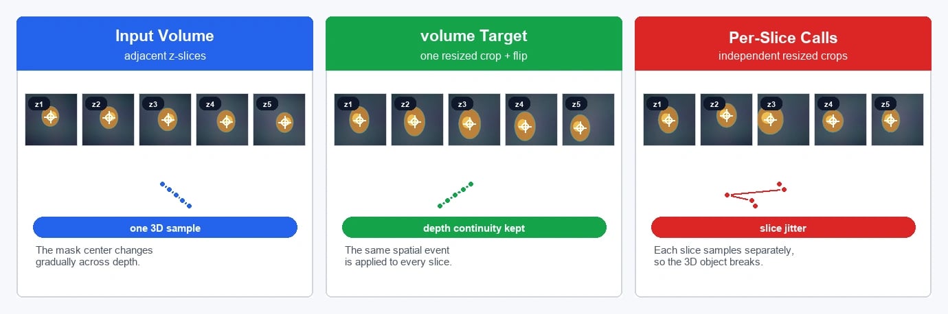 Consistent volumetric augmentation versus independent per-slice sampling
