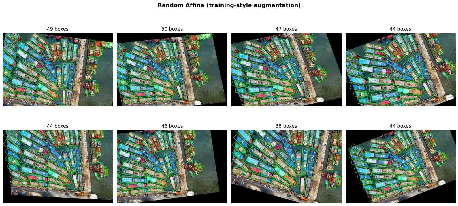 Random Affine (training-style augmentation)