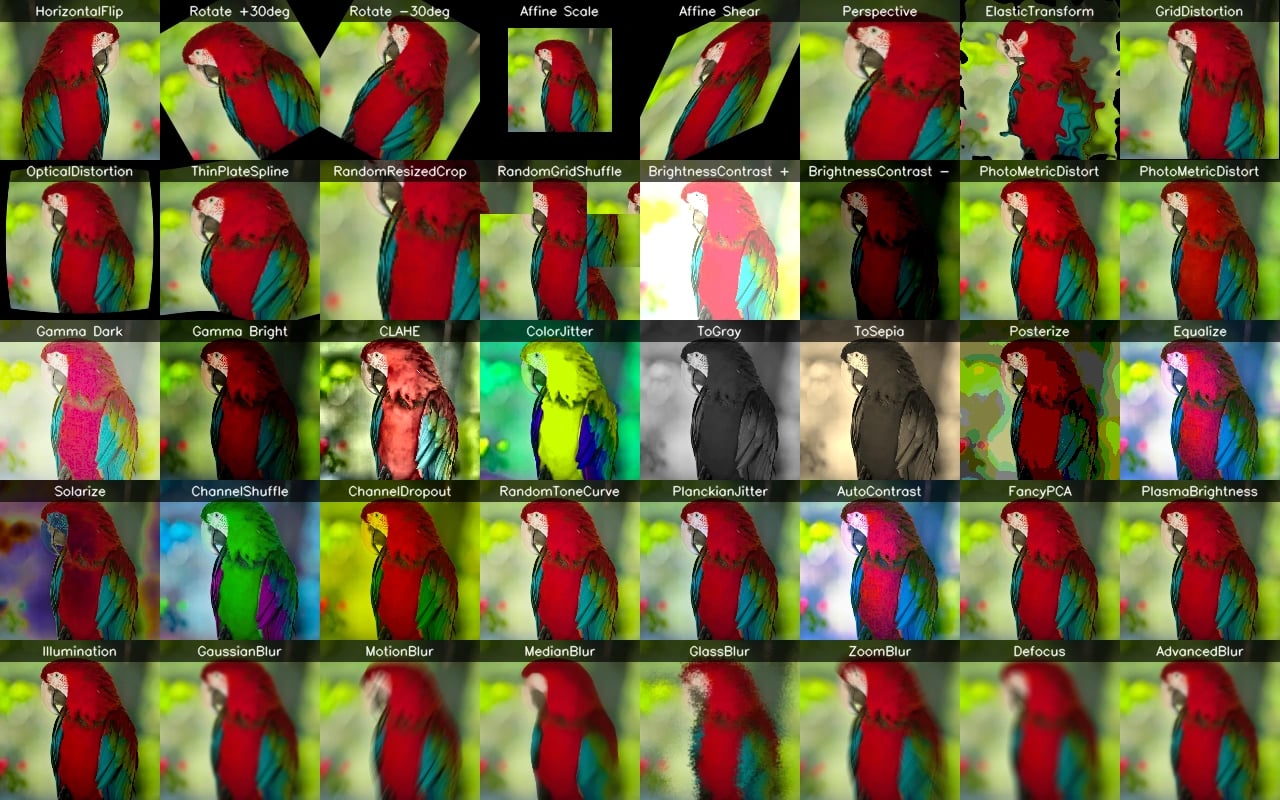 One image, many augmentations