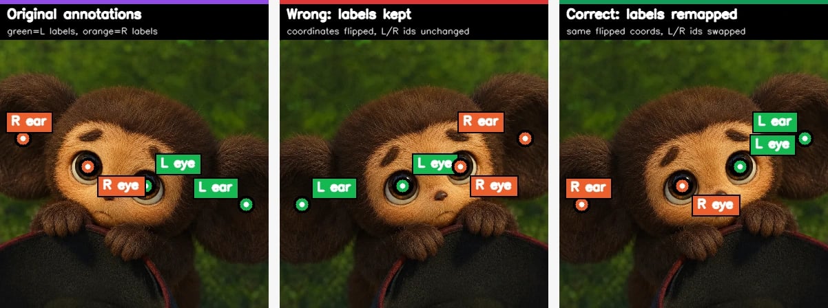 Keypoint label swapping under horizontal flip