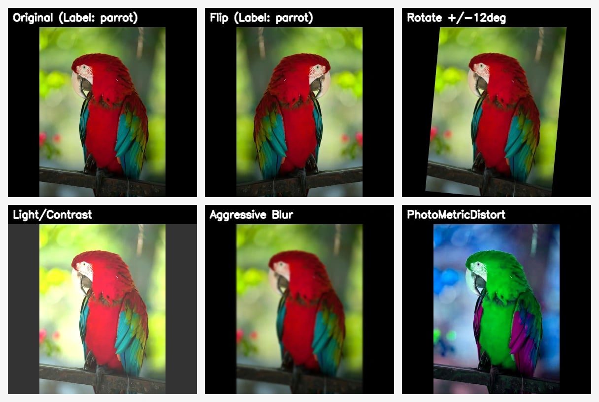 Parrot label preservation under safe transforms